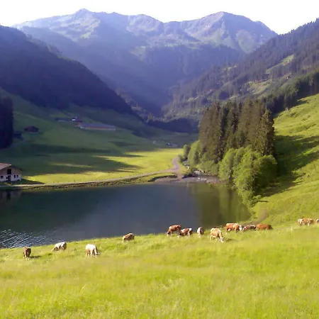 木屋 Ursteinhuette Kelchsau