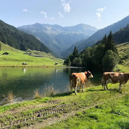 Chalet Ursteinhuette