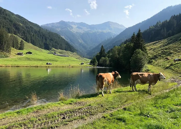 Chalet Ursteinhuette